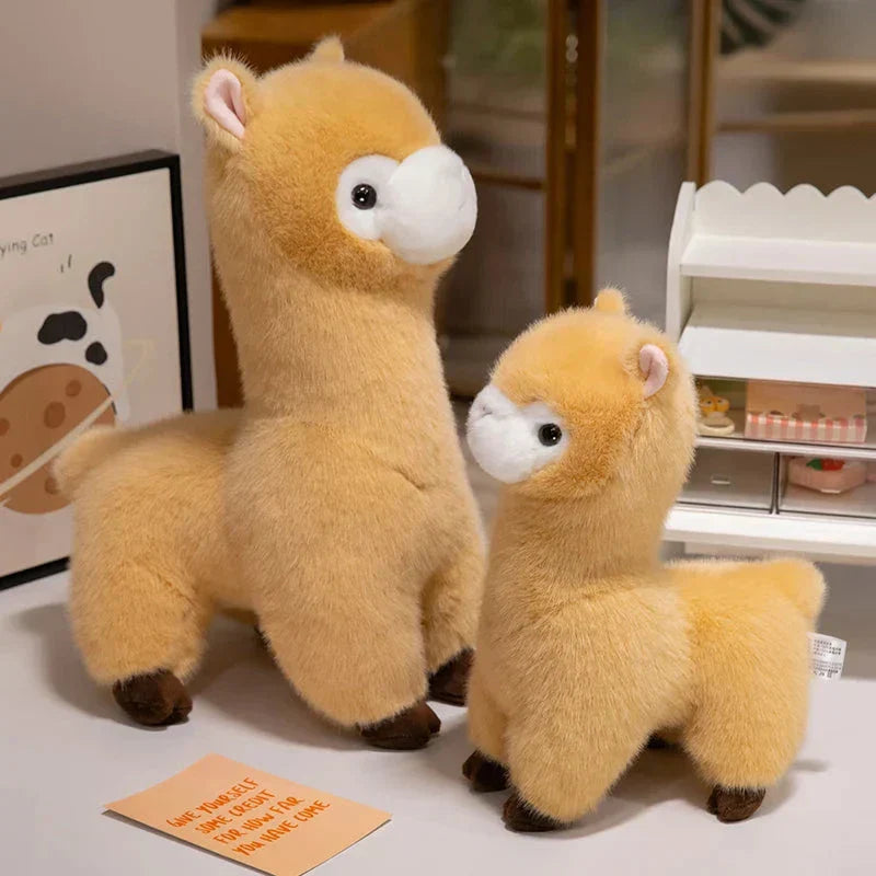 Skanto | Pompom Alpaca Kosedyr Familie