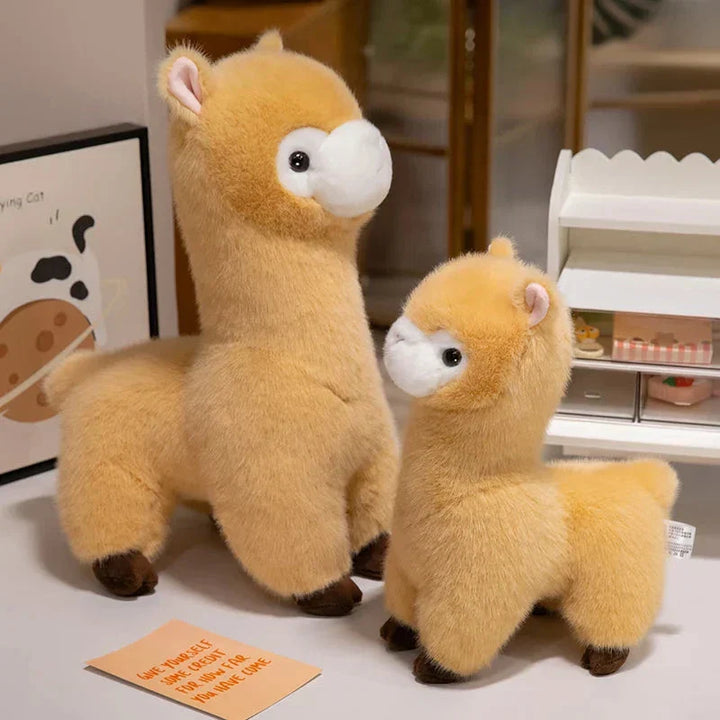 Skanto | Pompom Alpaca Kosedyr Familie