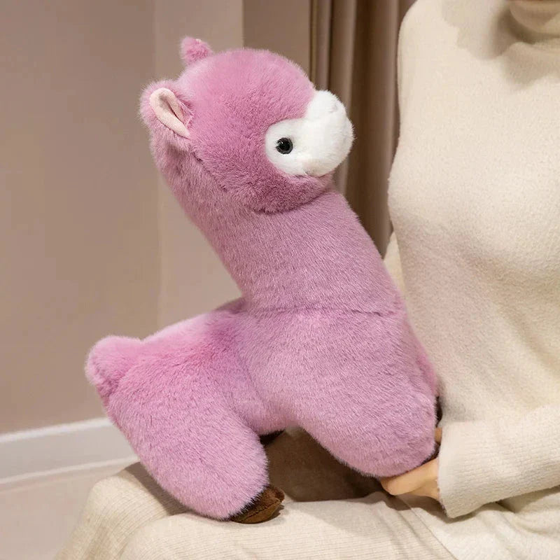 Skanto | Pompom Alpaca Kosedyr Familie