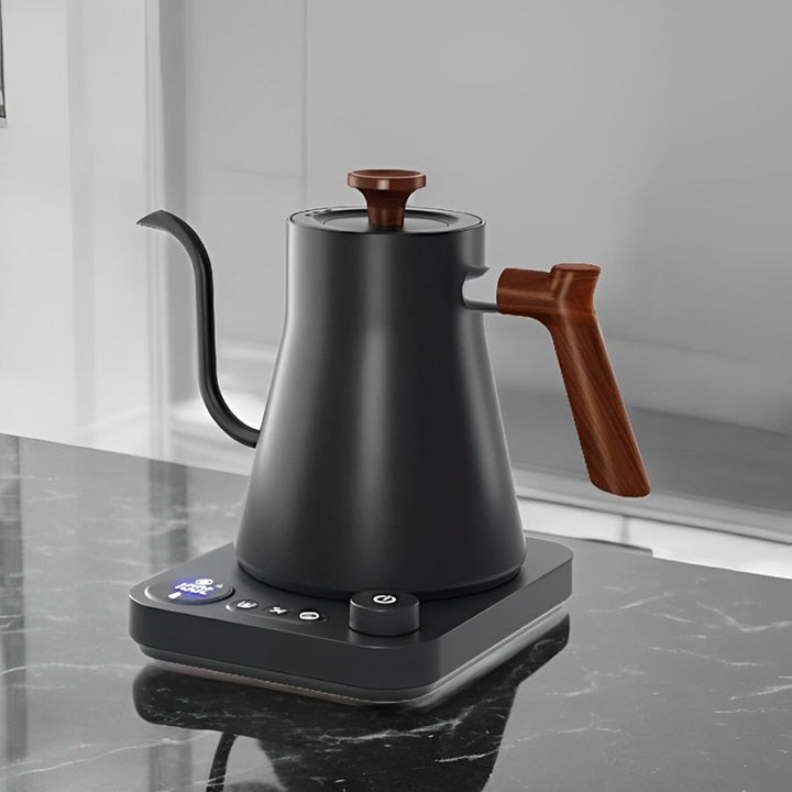 Skanto | Smart Electric Gooseneck Kettle With Temperature Control