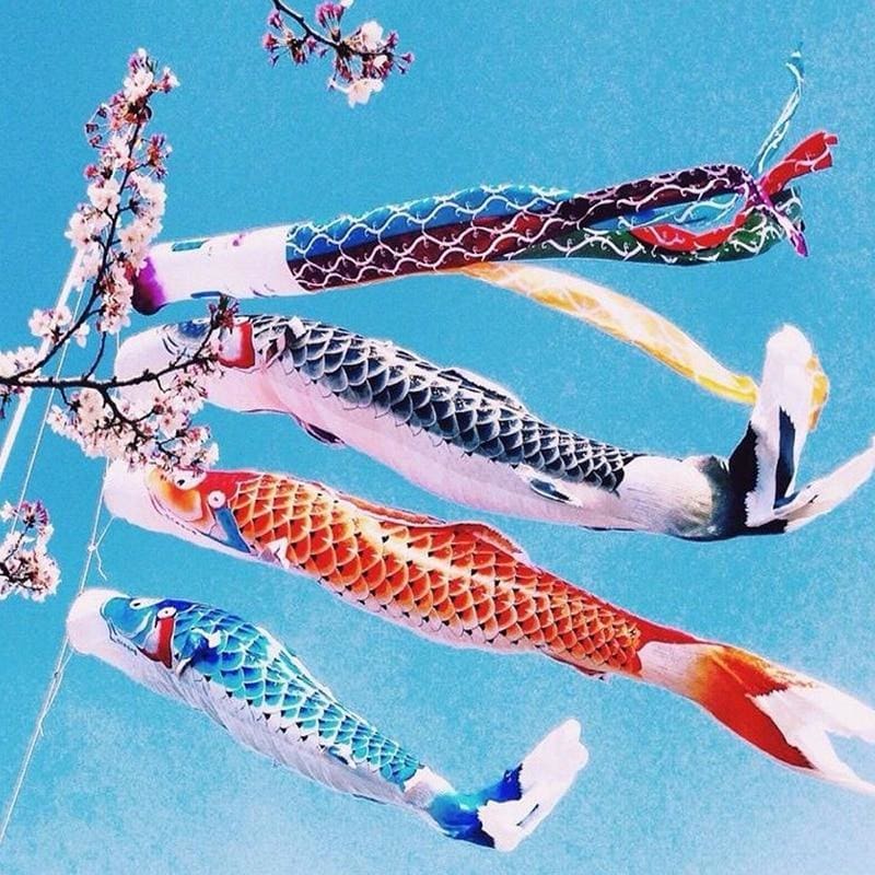 Skanto | Koinobori Flagg Hanan ( 3 Størrelser)