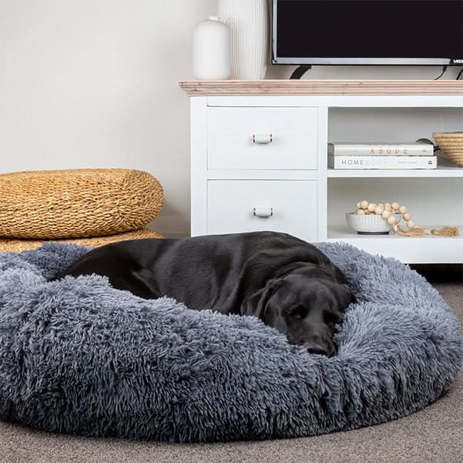 Skanto | FUZZYPLUSH – Ortopedisk Plush Hundeseng for Dyp Søvn