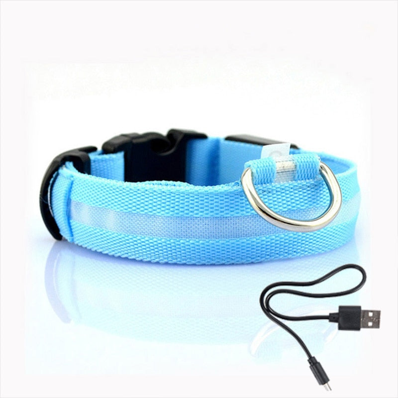 LED hundehalsbånd - GlowCollar Skanto