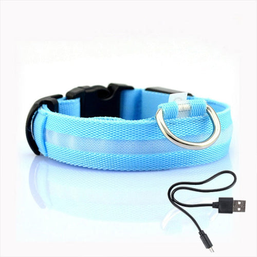 LED hundehalsbånd - GlowCollar Skanto