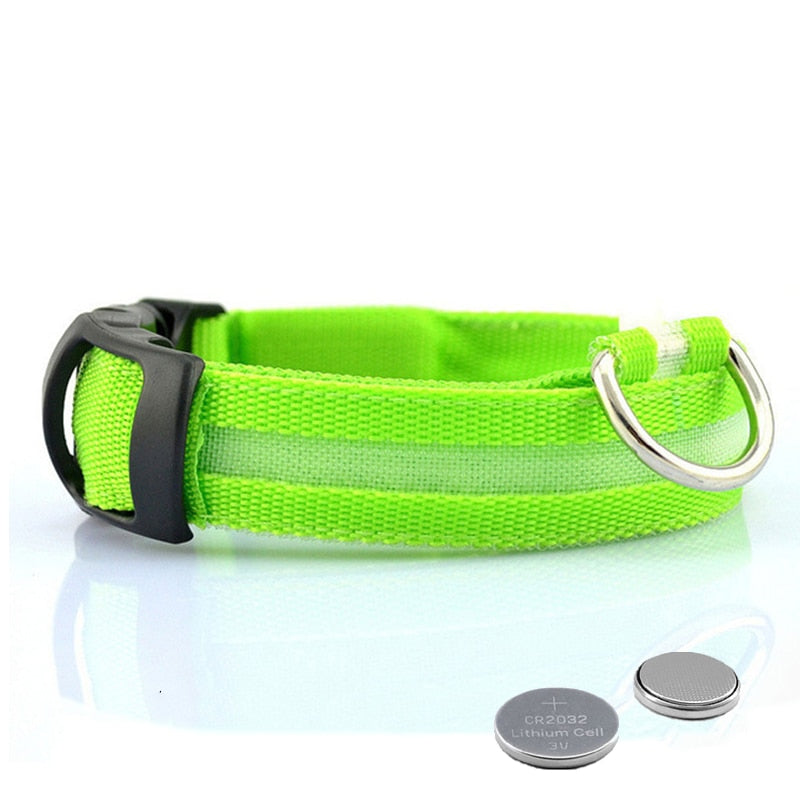 LED hundehalsbånd - GlowCollar Skanto