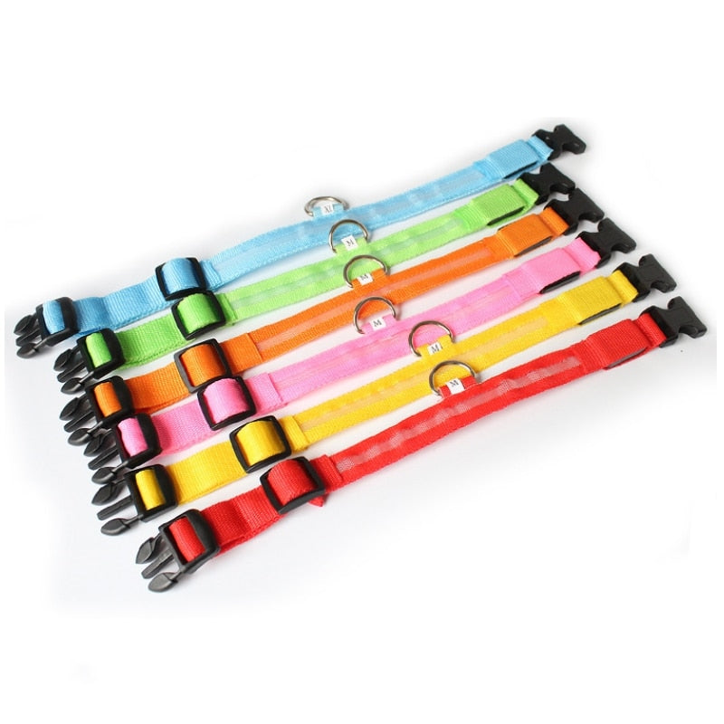 LED hundehalsbånd - GlowCollar Skanto