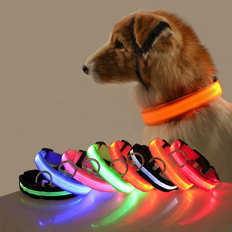 LED hundehalsbånd - GlowCollar Skanto
