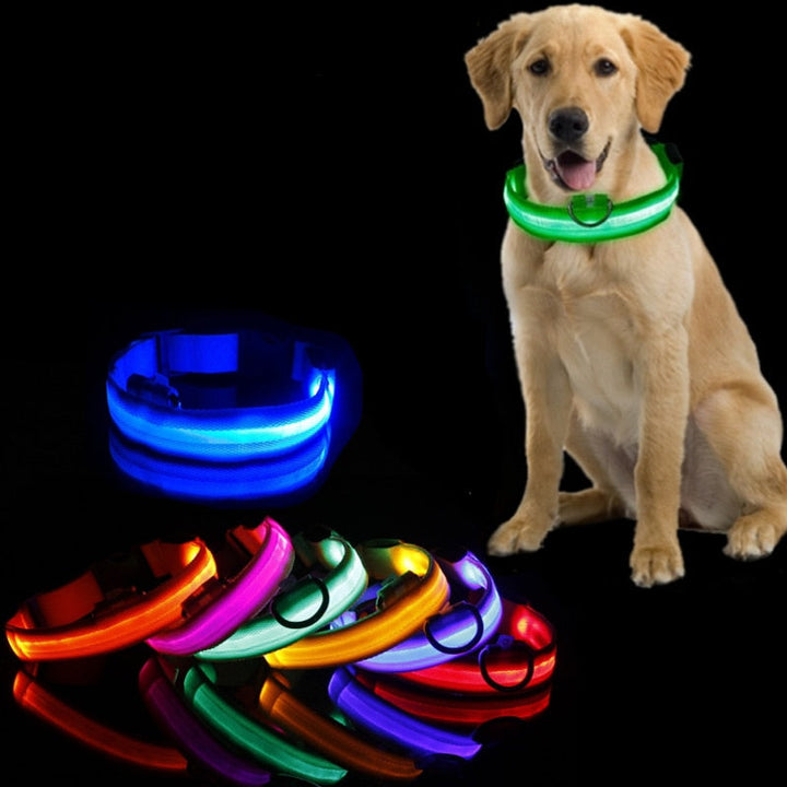 LED hundehalsbånd - GlowCollar Skanto