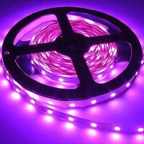 Skanto | 3528 LED Strips Lys 12V 5M 300 Leds - Sørg for at detaljene er perfekte