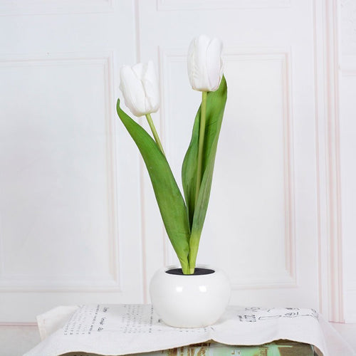 Skanto | Dekorativ LED Tulipan Bordlampe – Florima