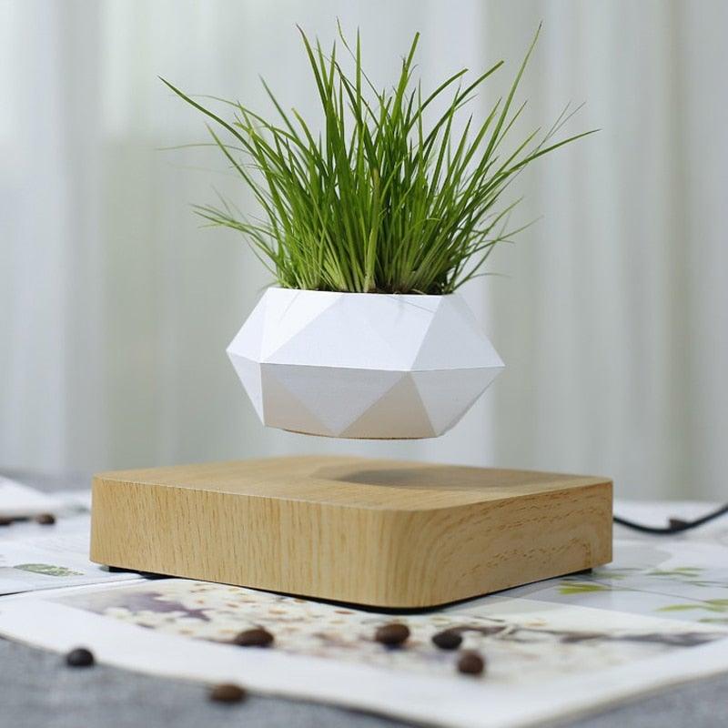 Skanto | Flytende Luft Bonsai Potte