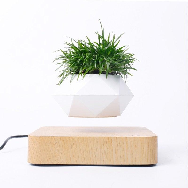 Skanto | Flytende Luft Bonsai Potte