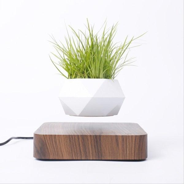 Skanto | Flytende Luft Bonsai Potte