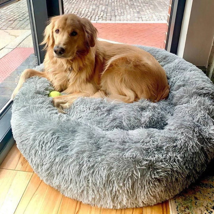 Skanto | Beroligende Hundeseng