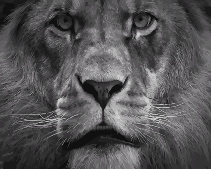King of the Jungle - Van-Go Mal etter tall Kit | Skanto