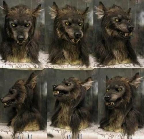 LUPINMASK – Realistiske Werwolfmaske for Halloween & Cosplay