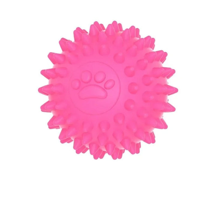 Bouncing Rubber Training Ball Skanto