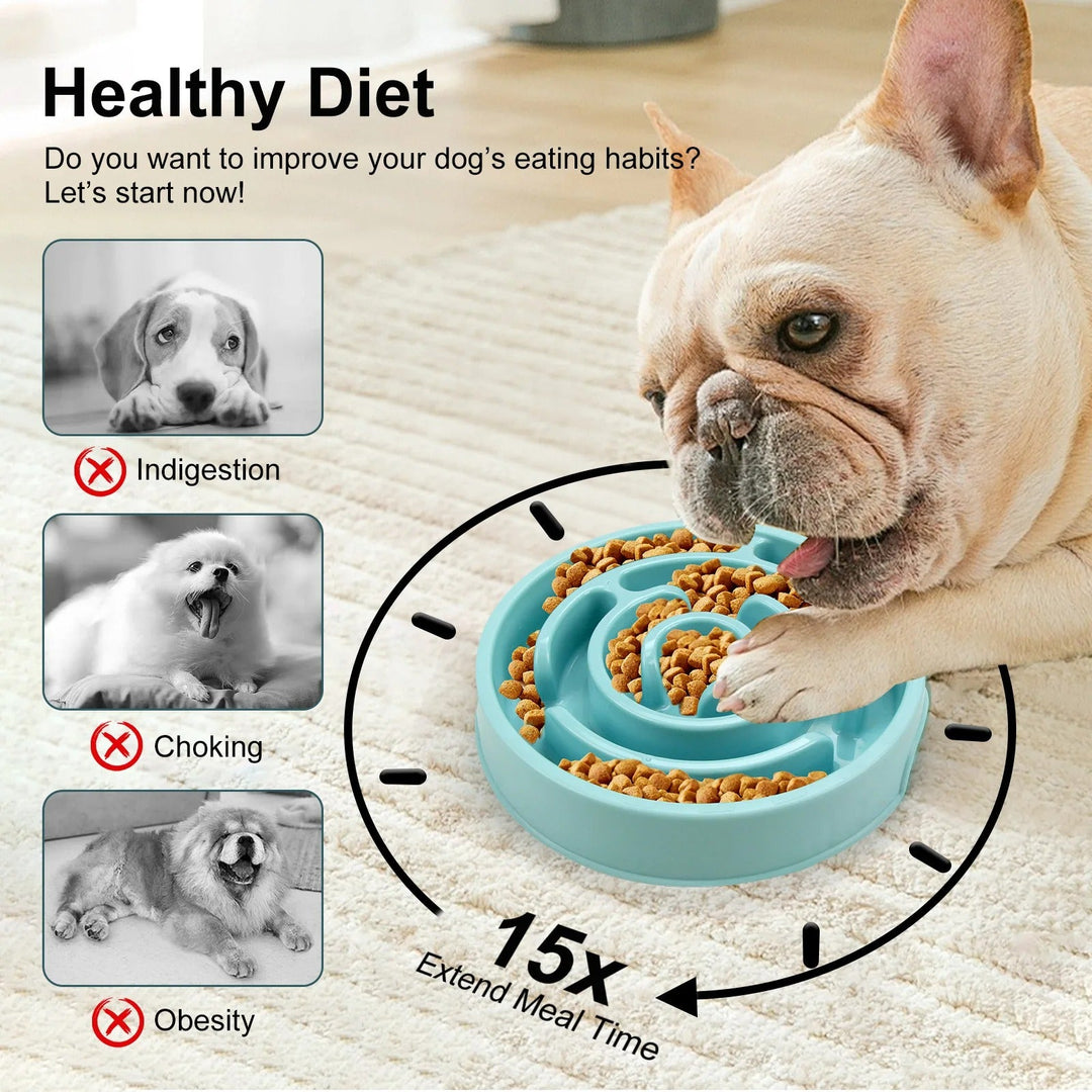 Slow Feed Pet Bowl Skanto