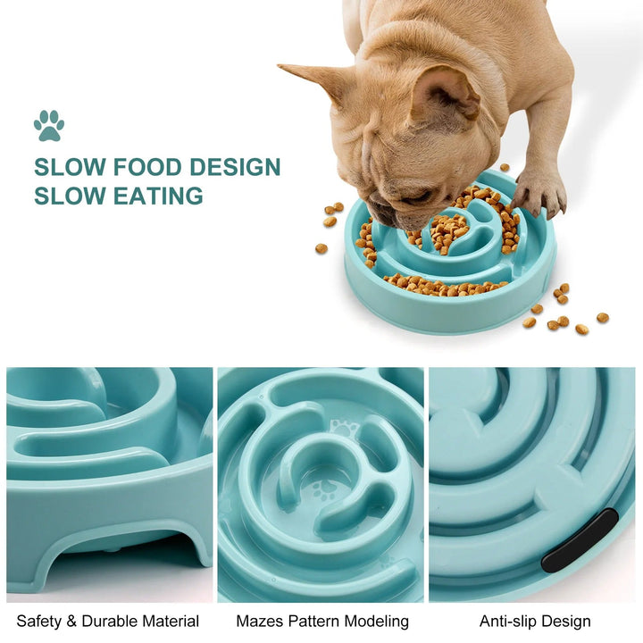 Slow Feed Pet Bowl Skanto