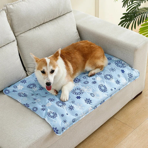Hund Kjølematte Skanto
