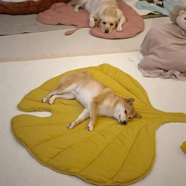 Chill Paw Mat Skanto