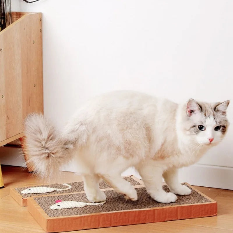 Katt Papp Matte Skraper Skanto