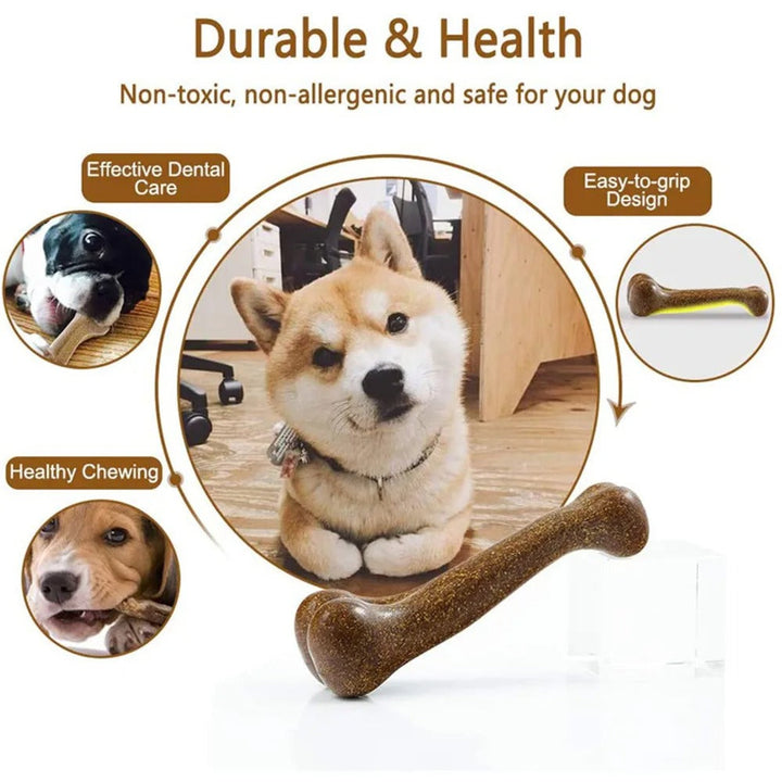 ChewBone – Det trygge og holdbare tyggeleken for glade hunder! Skanto