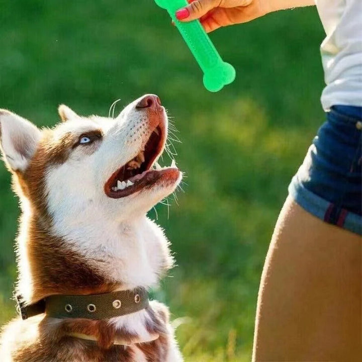 Gummi Bein Legetøy for Aggressive Tygger Skanto