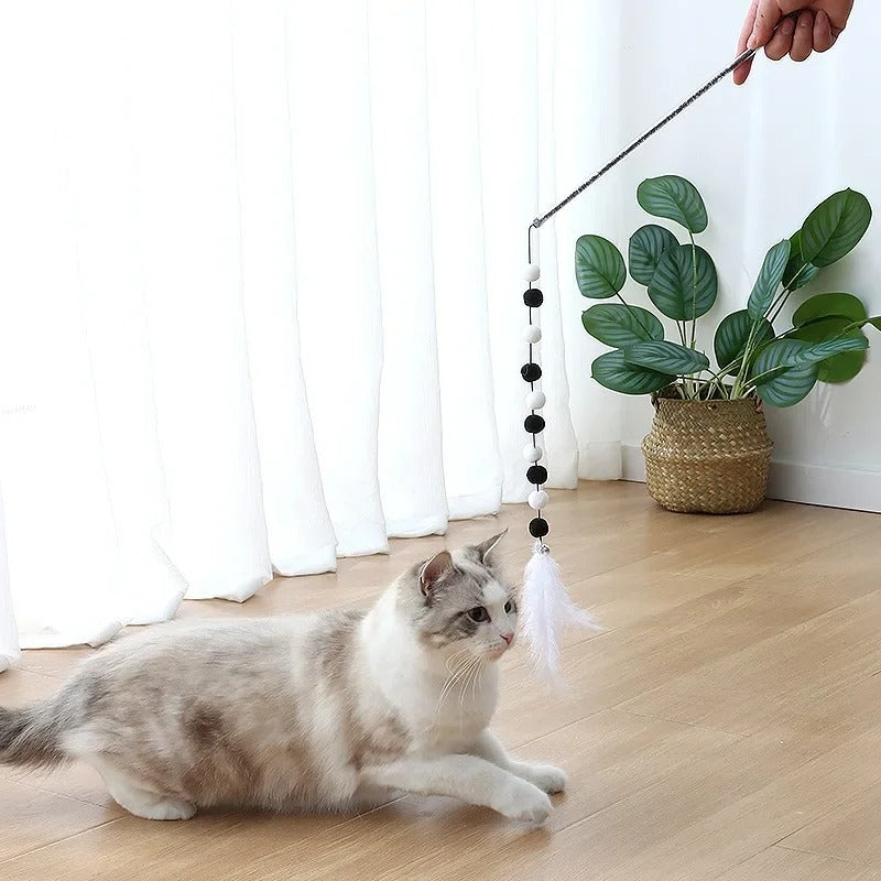 Fjær Katt Leke Interaktiv Bolleheis