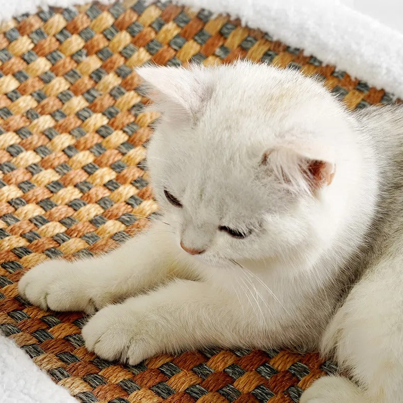 Skanto | Premium Katteng bed med integrert klorematte