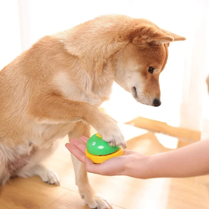 PetTrainer – Den ultimate treneren &amp; fotavtrykkringen for katter og hunder! Skanto
