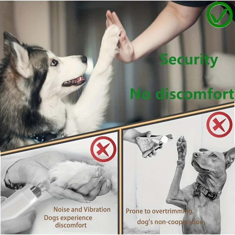 Paw Perfect Scratch & Groom Skanto