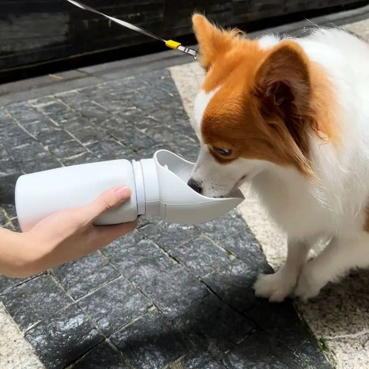 FoldSip Pet Cup Skanto