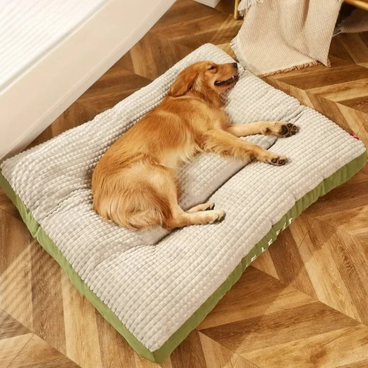 Skanto | PawSupport Comfort