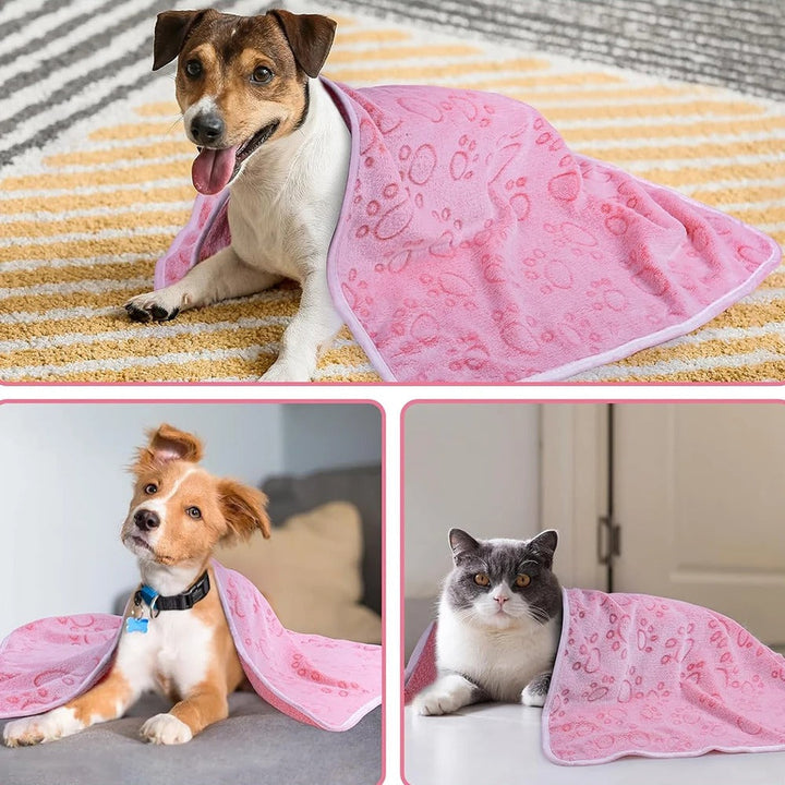 FluffyPet Blanket Skanto