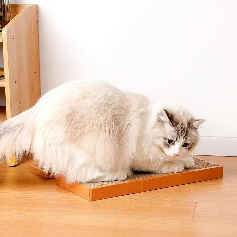 Katt Papp Matte Skraper Skanto