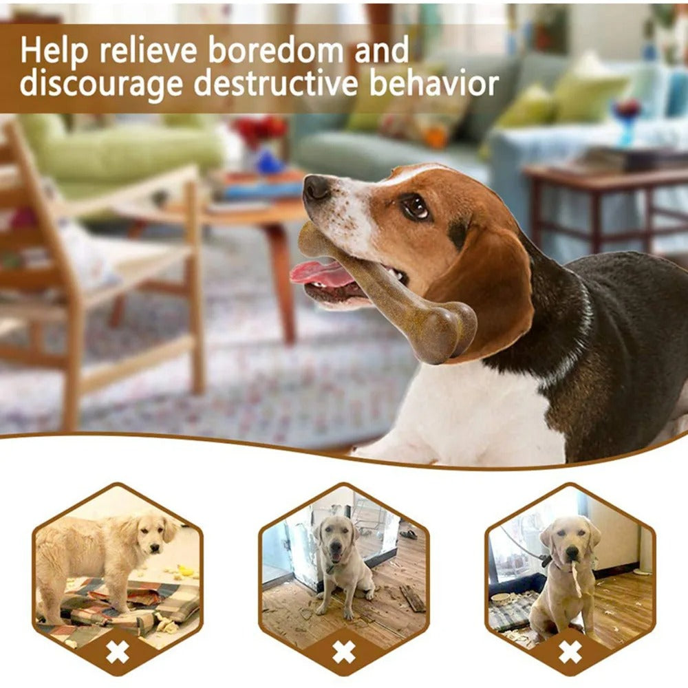 ChewBone – Det trygge og holdbare tyggeleken for glade hunder! Skanto