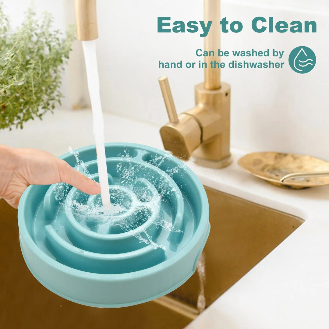 Slow Feed Pet Bowl Skanto