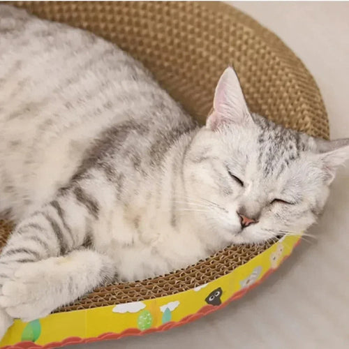 Holdbar Oval Katt Nest Bollift