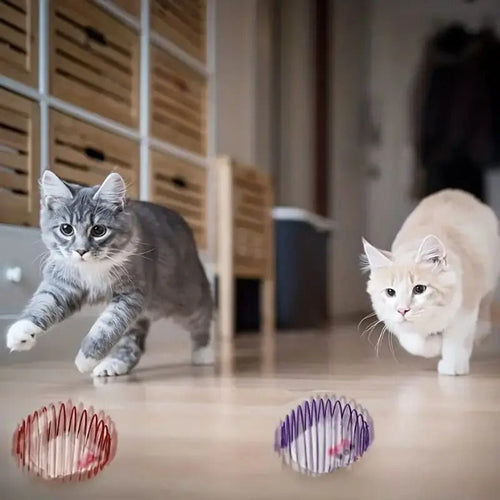 Stretchable kattleketøy baller med burrotter Skanto