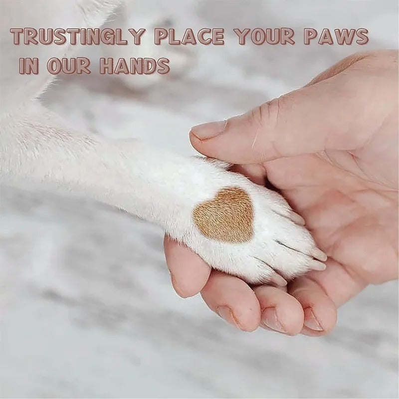 Paw Perfect Scratch & Groom Skanto