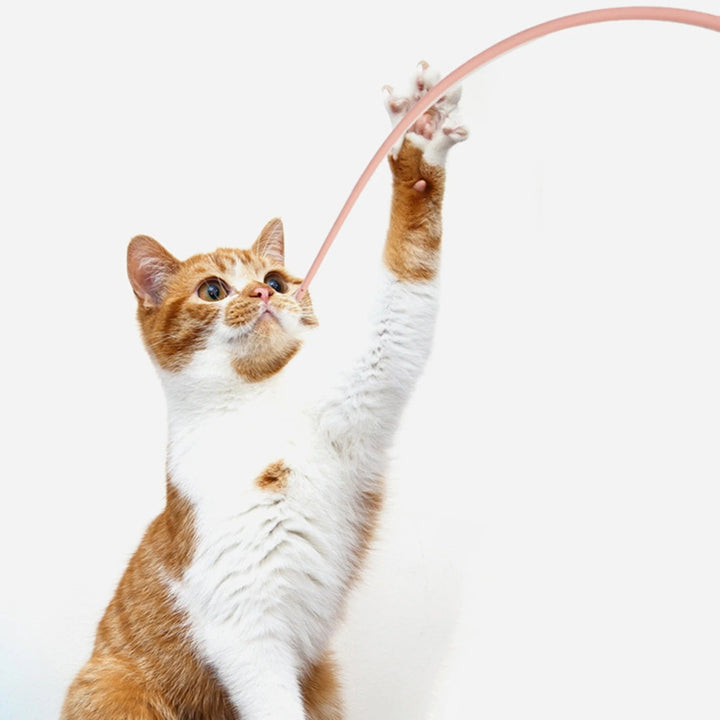 Katt leke stang interaktiv Skanto