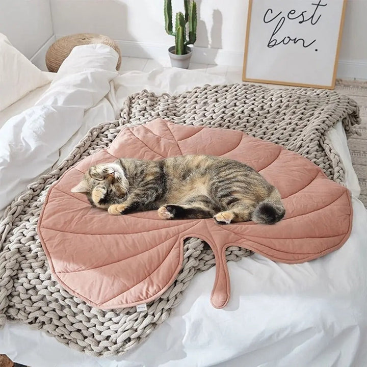 Chill Paw Mat Skanto