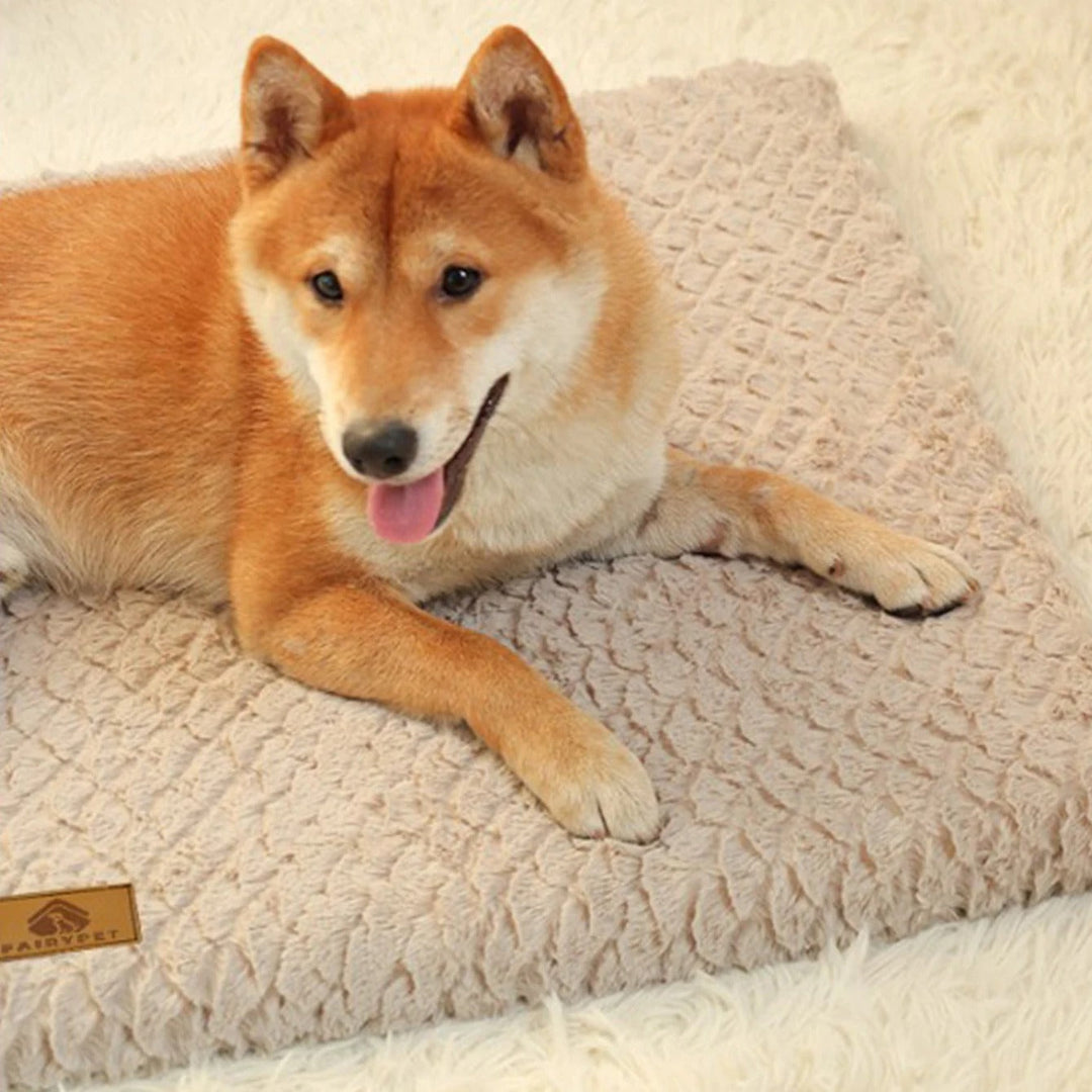 ComfyPaws Hundematte Skanto