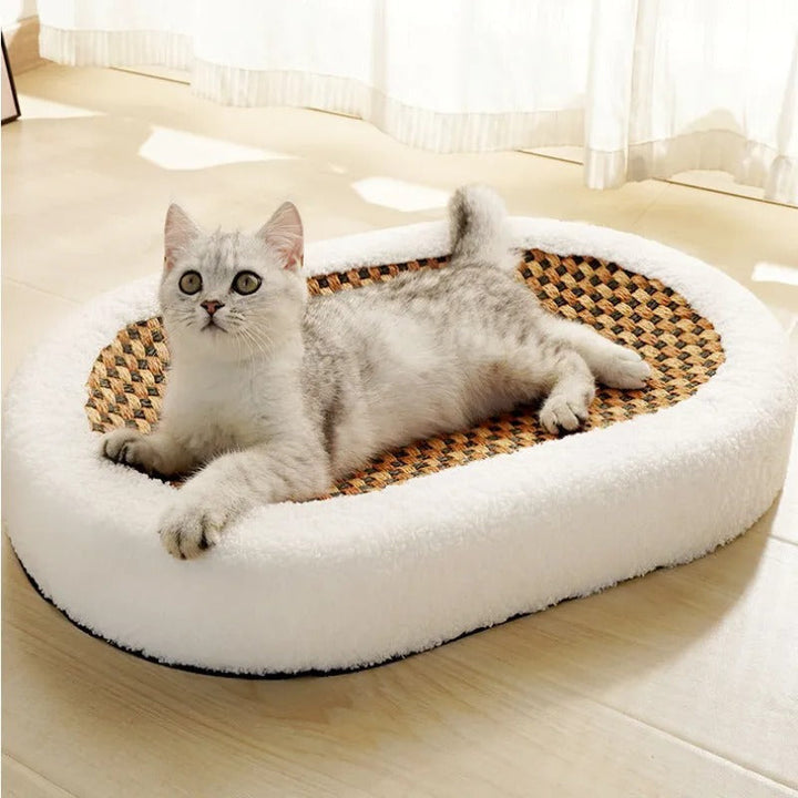 Skanto | Premium Katteng bed med integrert klorematte