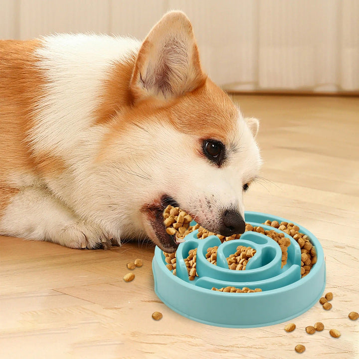 Slow Feed Pet Bowl Skanto