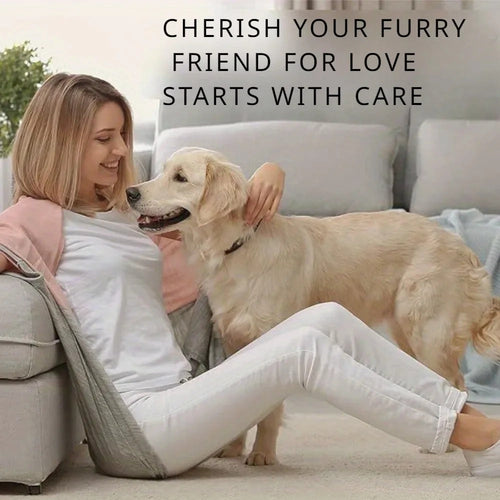 Paw Perfect Scratch & Groom Skanto