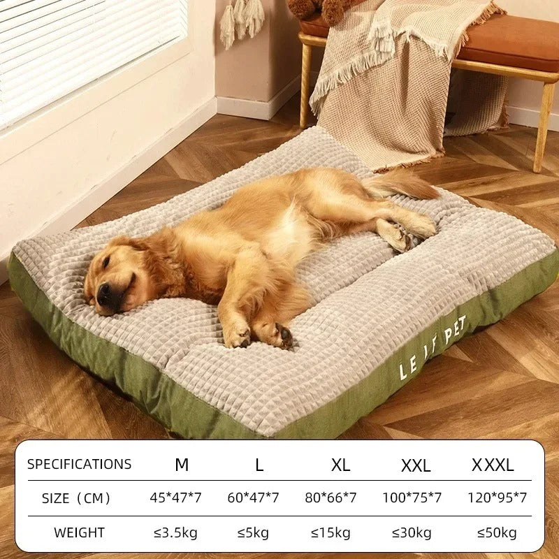 Skanto | PawSupport Comfort
