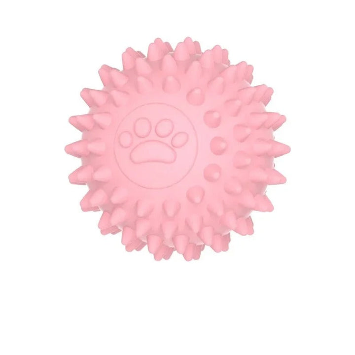 Bouncing Rubber Training Ball Skanto