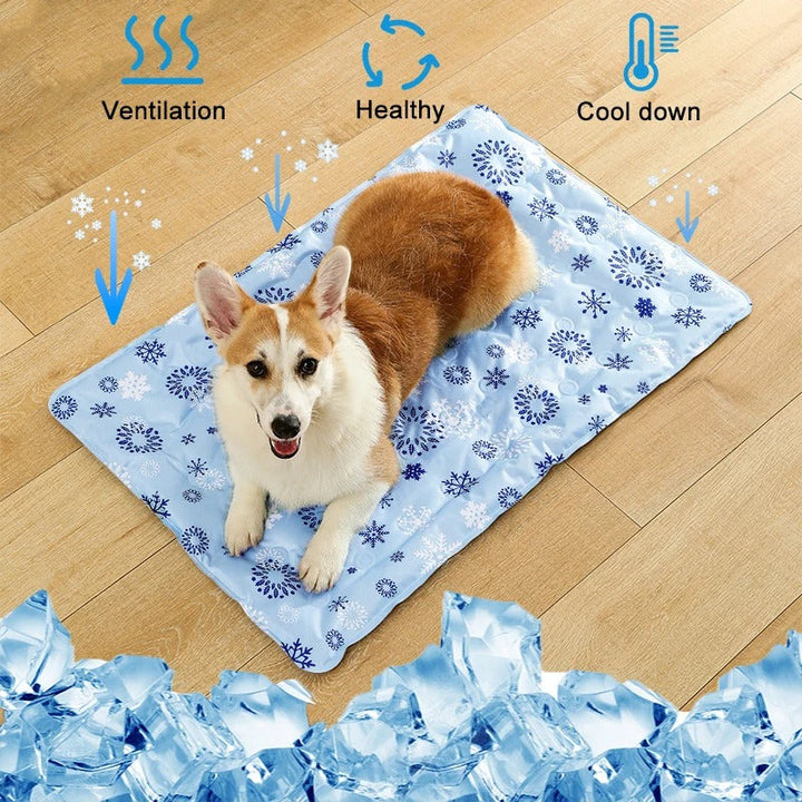Hund Kjølematte Skanto